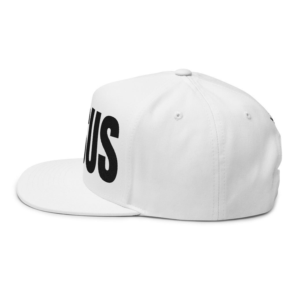 JESUS- Embroidered Flat Bill Snapback